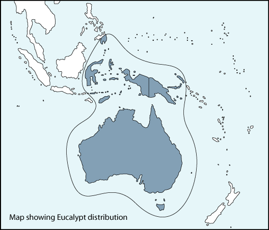 Map of eucalypt distribution