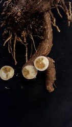 Photo 7. Brown dry rots in cassava roots infected with cassava brown streak disease.