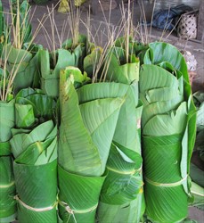 Photo 7. Rolls of Heliconia leaves at the market in Espirito Santo, Vanuatu, with symptoms of the Heliconia rust, Puccinia heliconiae. The leaves are used to wrap grated starchy foods mixed with coconut milk, called laplap.