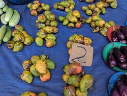 Photo 3. Mangoes for sale at a market showing dark spots of anthracnose, Colletotrichum gloeosporioides.